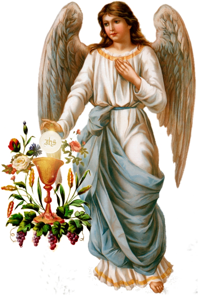 fatima angel